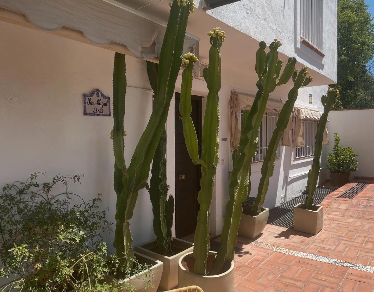 San Miguel B&B Granada Exterior photo
